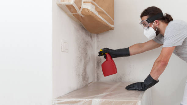 Professional Attic Mold Removal technician working in Rockville Centre, NY